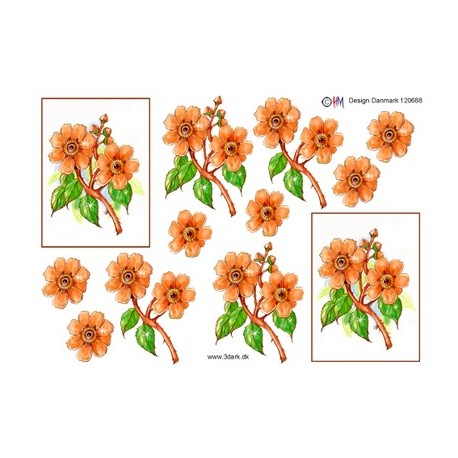 Orange blomster, 3D ark