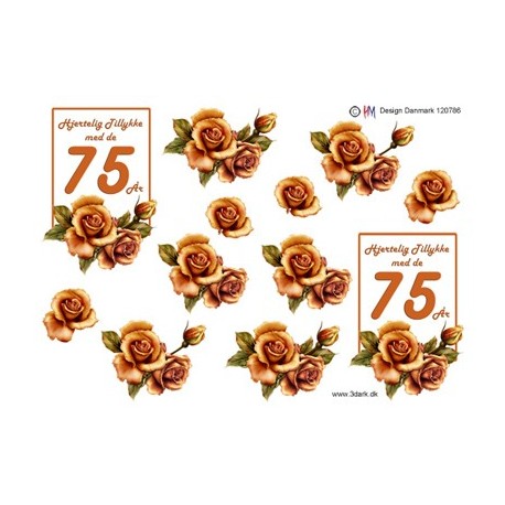 Orange rose med tekst "hjertelig tillykke med 75 år", 3D ark