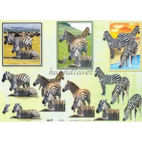 Zebra, 3D ark